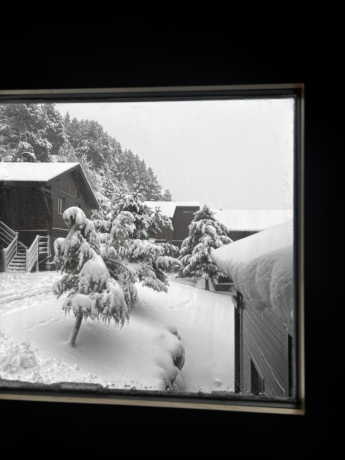 Exclusiva Cabana En Incles - Vistas Al Valle & Pistas De Ski Grandvalira - Free Parking Canillo Exteriör bild